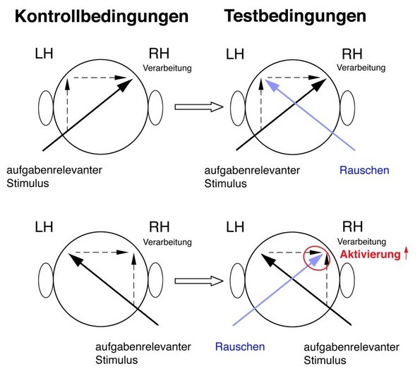 Beschreibung einer Messung im MRT