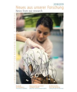 Cover des LIN-Forschungsberichts 2018/2019