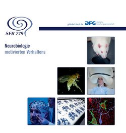 Cover der Broschüre zum Sonderforschungsbereich 779 "Neurobiologie motivierten Verhaltens"
