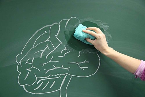 Hand mit einem Schwamm, die ein an die Tafel gemaltes Gehirn wegwischt
