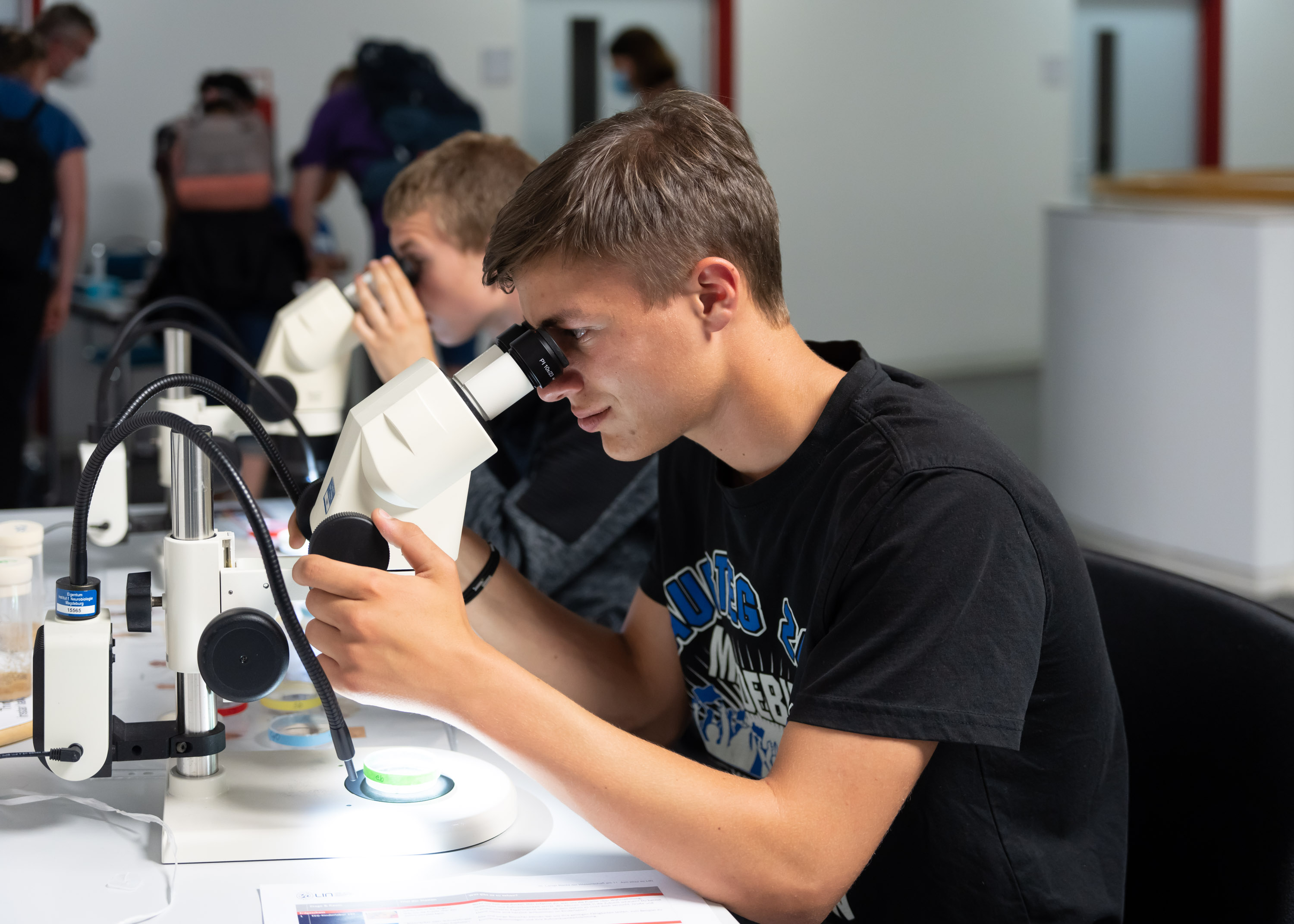 2 Schüler schauen durch ein Mikroskop