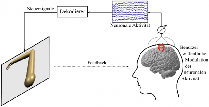 Das Prinzip eines Brain-Machine-Interfaces wird anhand eines Beispiel modelliert